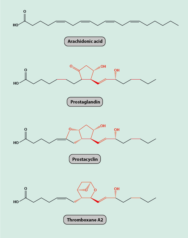 Prostaglandins